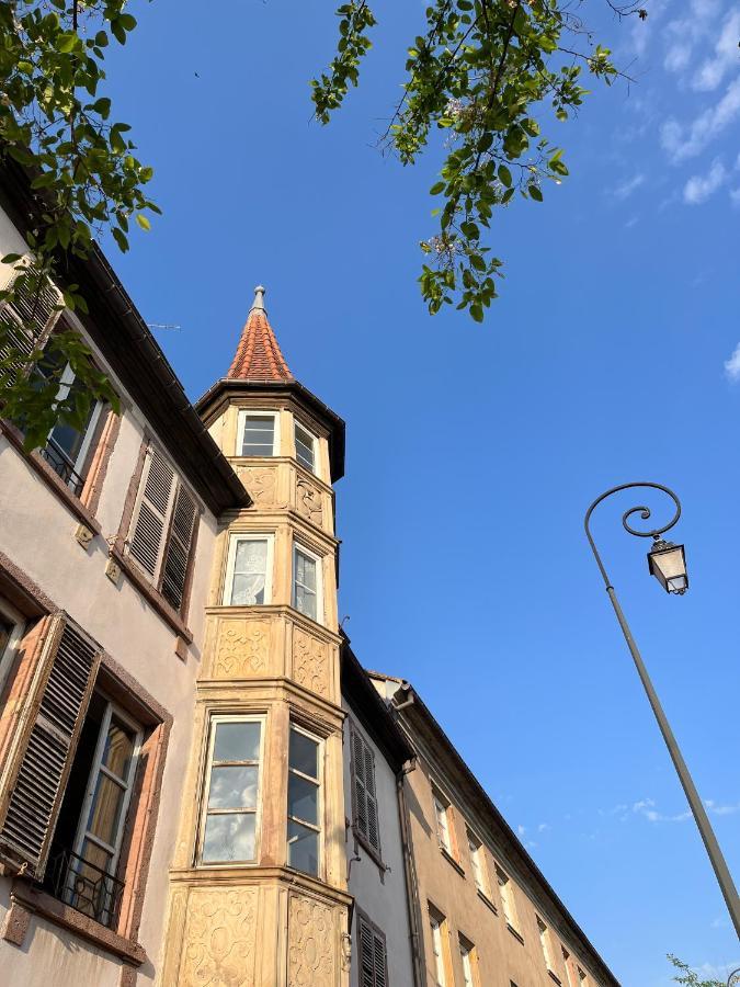 Le Baumann Concept: Appartement De Charme Dans Un Monument Historique Colmar Exterior foto